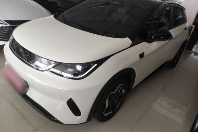 Used BYD Dolphin 2025 Smart Drive Version 420 km Freedom Edition