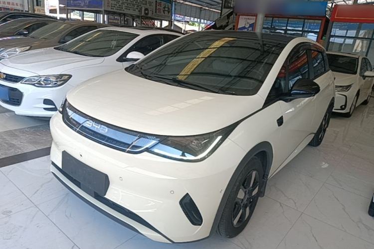 BYD Dolphin 2025 Intelligent Driving Version 410 km Fashion Edition