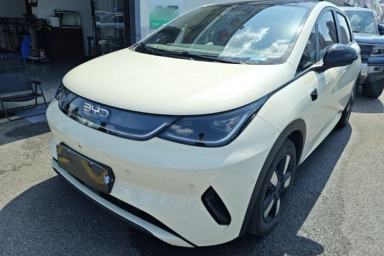 Used BYD Dolphin 2025 Intelligent Driving Version 410 km Fashion Edition