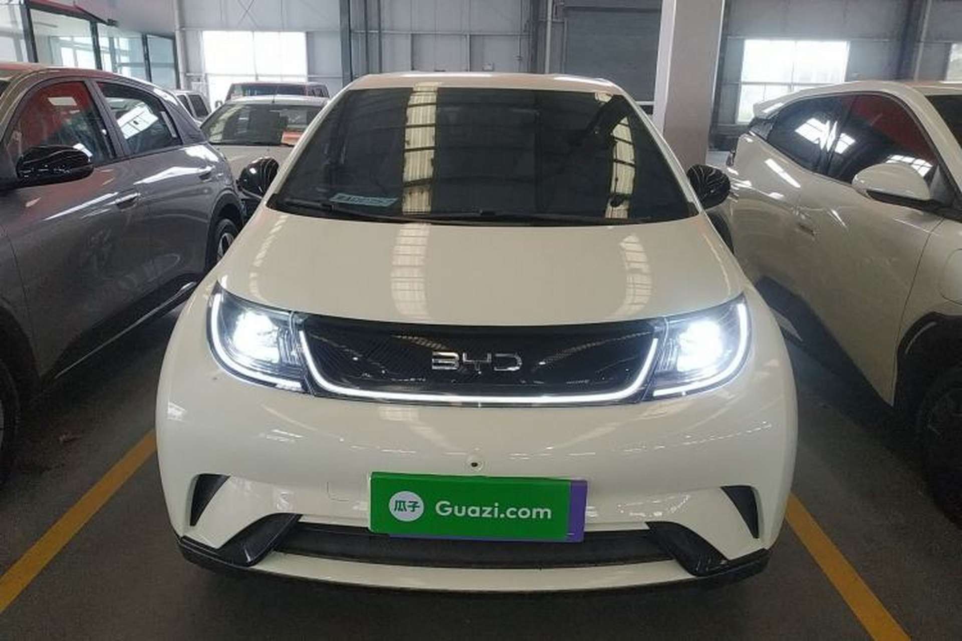 Used BYD Dolphin 2025 420km Free Edition Front