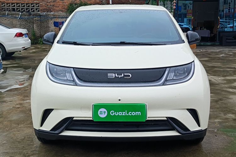 Used BYD Dolphin 2025 520km Range Knight Edition Front