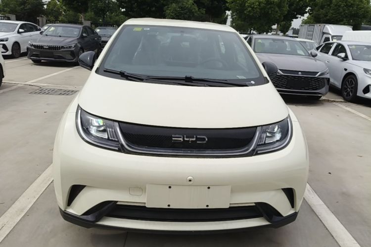 Used BYD Dolphin 2025 420km Free Edition Front