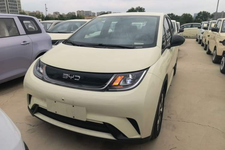 Used BYD Dolphin 2025 420km Free Edition Front