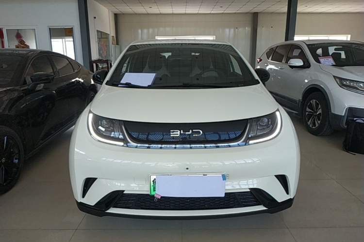 Used BYD Dolphin 2025 420km Free Edition Front