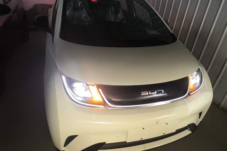 Used BYD Dolphin 2025 420km Free Edition Front