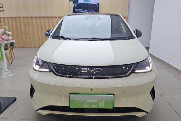 Used BYD Dolphin 2025 Intelligent Driving Version 410 km Fashion Edition Front