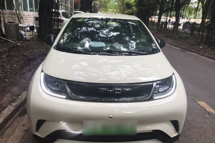 Used BYD Dolphin 2025 420km Free Edition Front