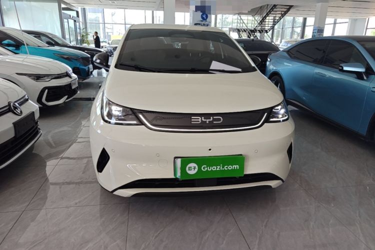 Used BYD Dolphin 2025 Smart Drive Version 420 km Freedom Edition Front