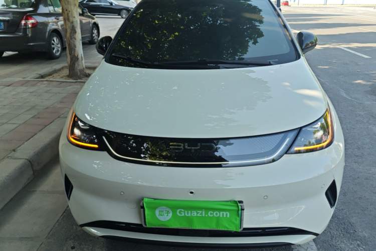 Used BYD Dolphin 2025 Smart Drive Version 420 km Freedom Edition Front