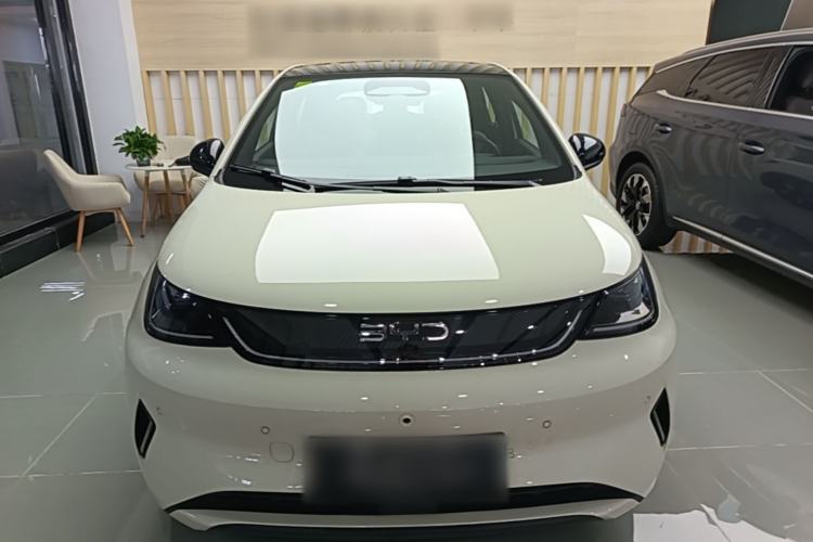 Used BYD Dolphin 2025 Intelligent Driving Version 410 km Fashion Edition Front