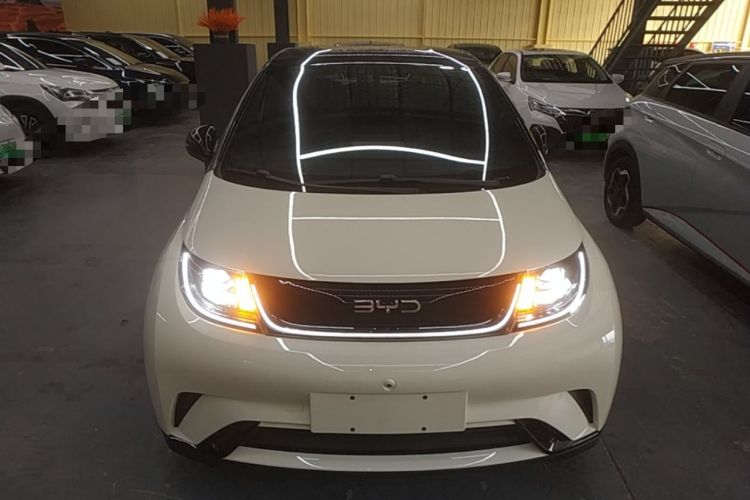 Used BYD Dolphin 2025 420km Free Edition Front
