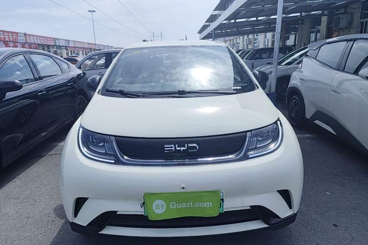 Used BYD Dolphin 2025 420km Free Edition Front
