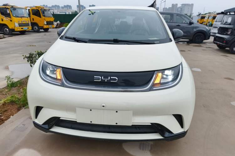 Used BYD Dolphin 2025 420km Free Edition Front