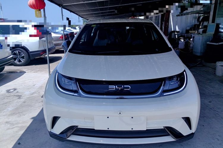 Used BYD Dolphin 2025 420km Free Edition Front