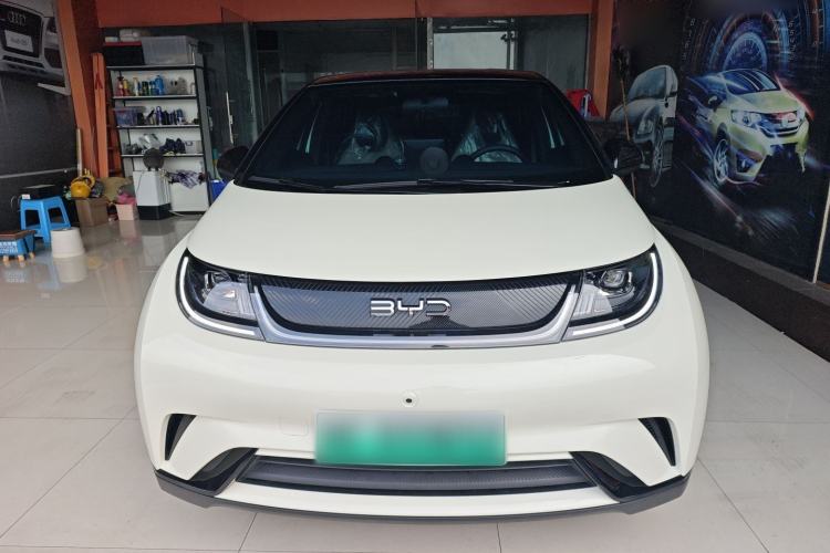 Used BYD Dolphin 2025 420km Free Edition Front