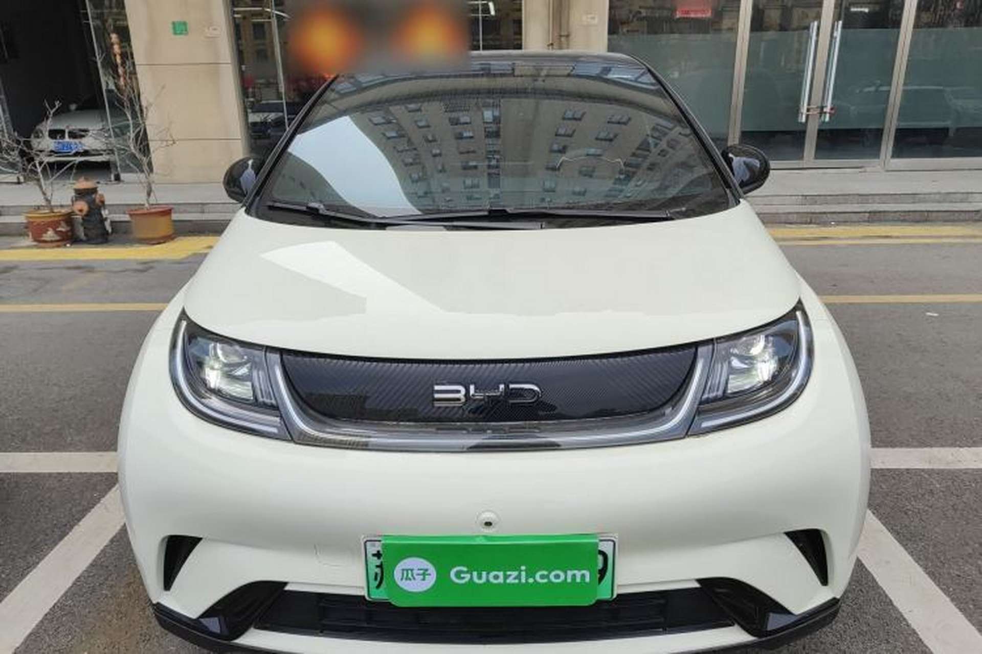 Used BYD Dolphin 2025 420km Free Edition Front