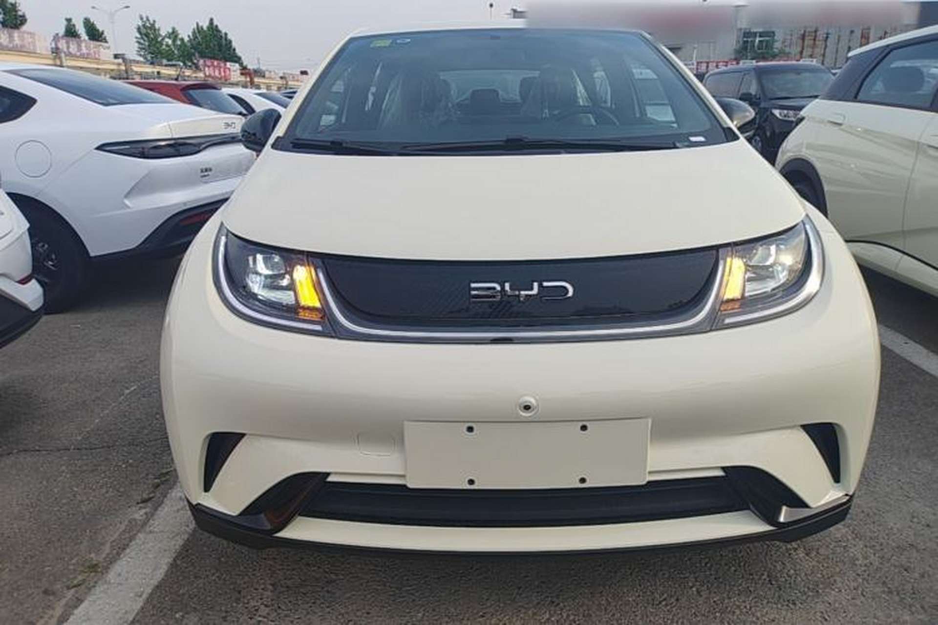 Used BYD Dolphin 2025 420km Free Edition Front