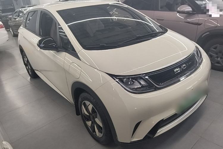 Used BYD Dolphin 2025 Smart Drive Version 420 km Freedom Edition Front Right 45 Deg