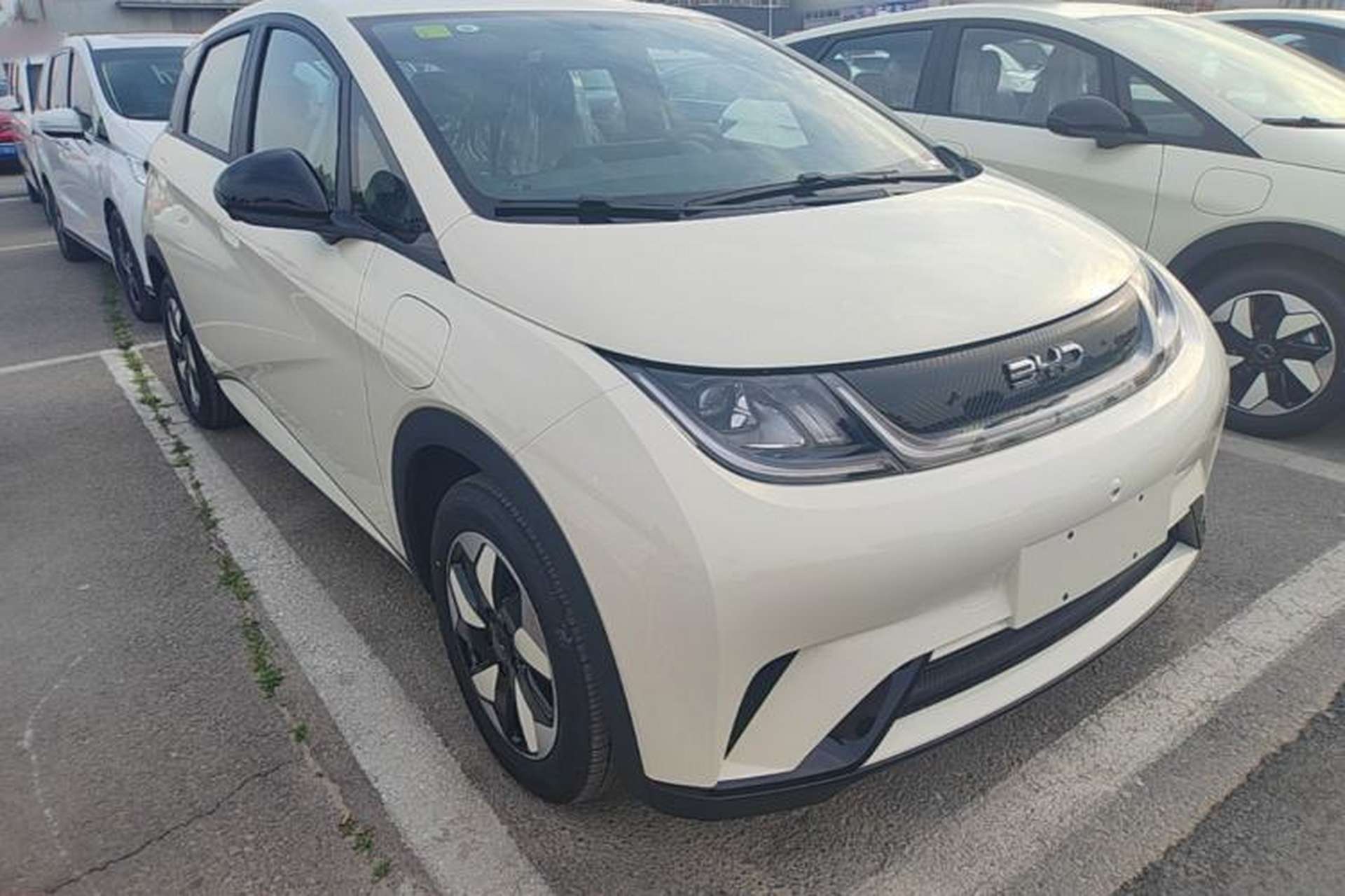 Used BYD Dolphin 2025 420km Free Edition Front Right 45 Deg