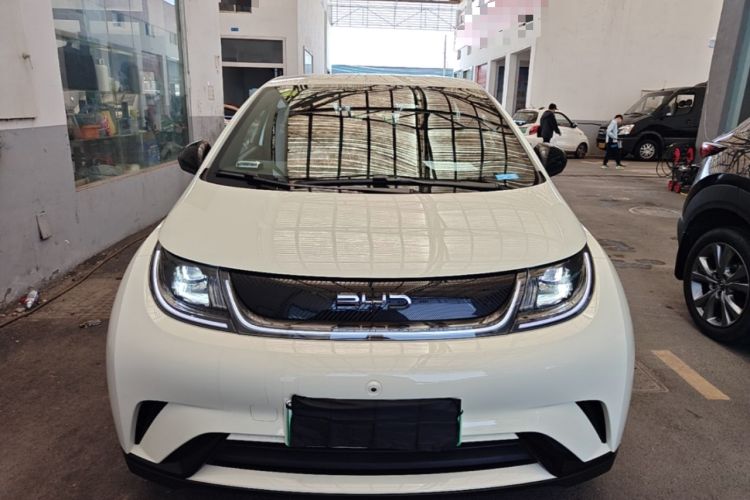 Used BYD Dolphin 2025 420km Free Edition Front
