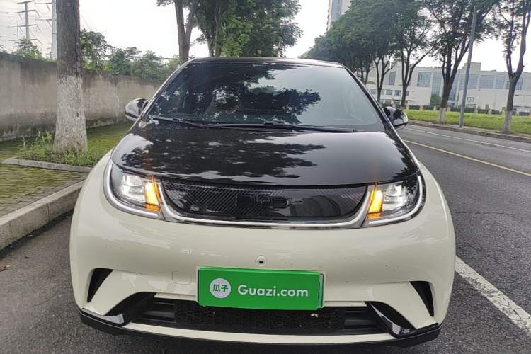 Used BYD Dolphin 2025 420km Free Edition Front