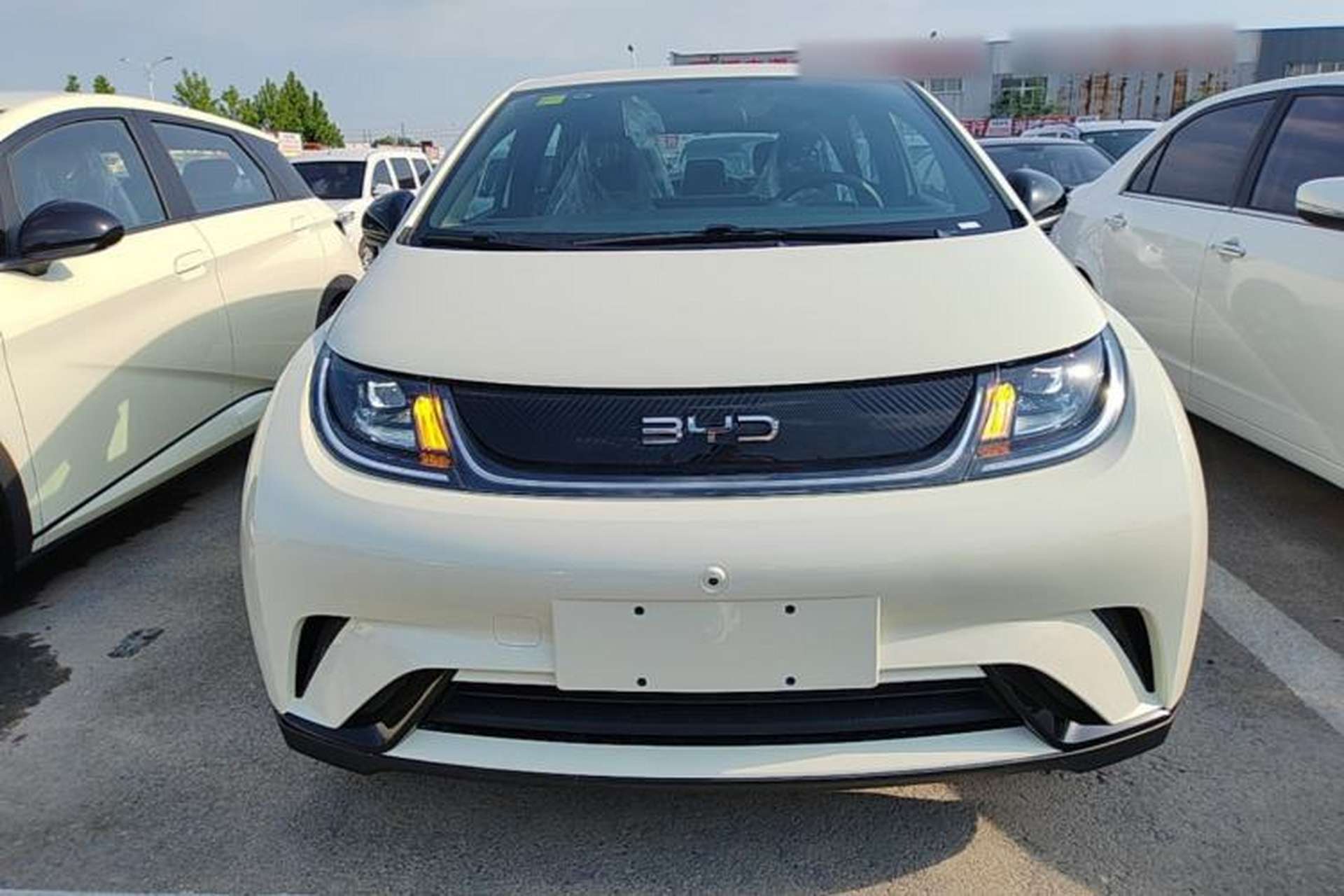 Used BYD Dolphin 2025 420km Free Edition Front