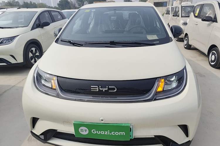 Used BYD Dolphin 2025 420km Free Edition Front