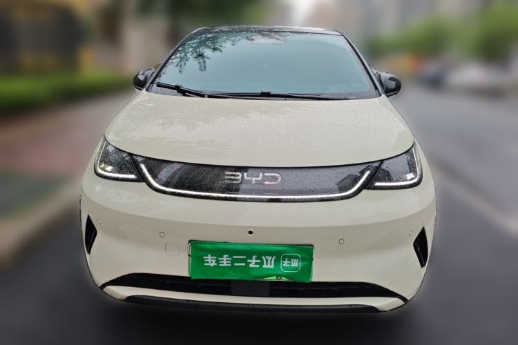 Used BYD Dolphin 2025 Intelligent Driving Version 520km Range Knight Edition Front