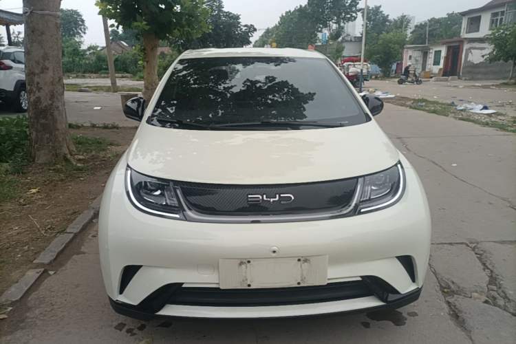 Used BYD Dolphin 2025 420km Free Edition Front