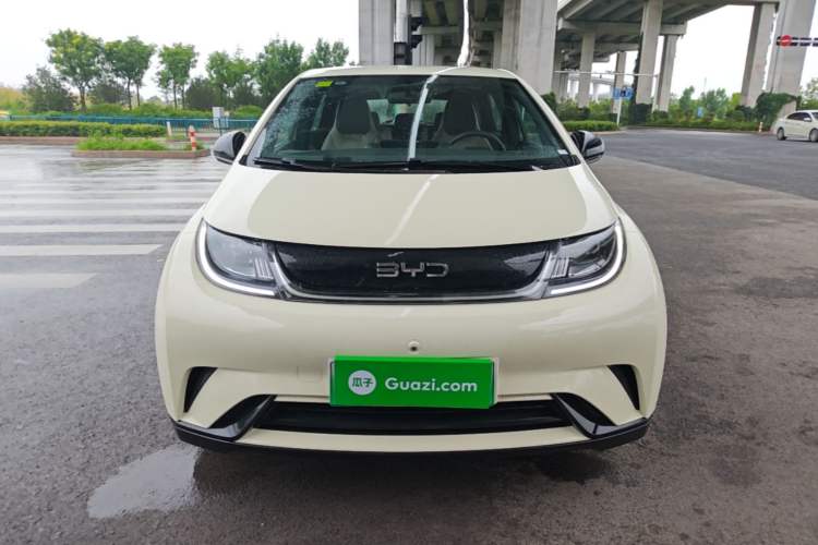 Used BYD Dolphin 2025 420km Free Edition Front