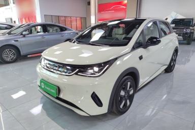 Used BYD Dolphin 2025 Intelligent Driving Version 410 km Fashion Edition