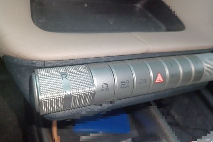 Used BYD Dolphin 2025 420km Free Edition Gear Lever