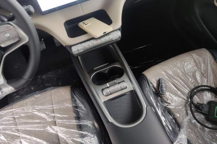 Used BYD Dolphin 2025 420km Free Edition Gear Lever