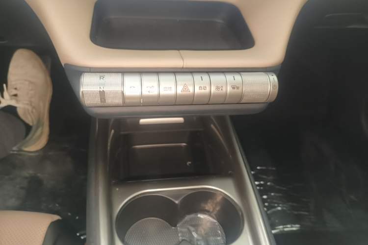 Used BYD Dolphin 2025 420km Free Edition Gear Lever