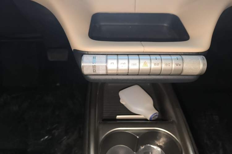 Used BYD Dolphin 2025 420km Free Edition Gear Lever