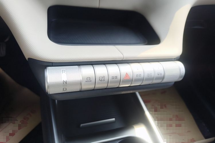 Used BYD Dolphin 2025 420km Free Edition Gear Lever