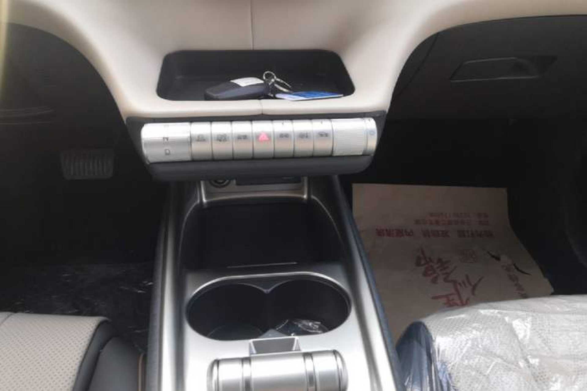 Used BYD Dolphin 2025 420km Free Edition Gear Lever