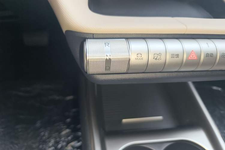 Used BYD Dolphin 2025 420km Free Edition Gear Lever