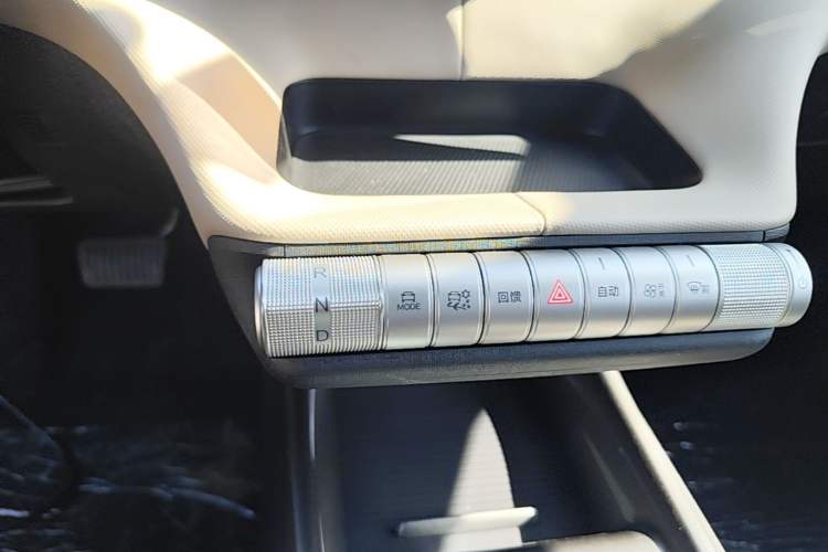 Used BYD Dolphin 2025 420km Free Edition Gear Lever