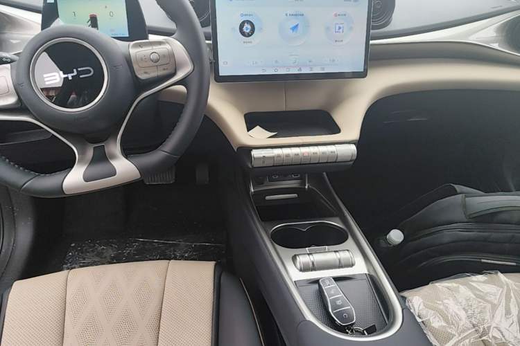 Used BYD Dolphin 2025 420km Free Edition Gear Lever