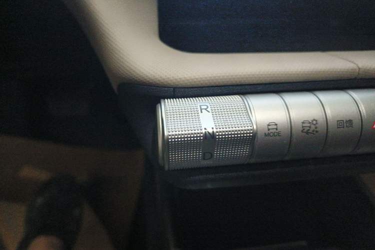 Used BYD Dolphin 2025 420km Free Edition Gear Lever