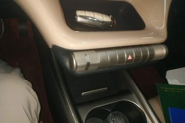 Used BYD Dolphin 2025 420km Free Edition Gear Lever