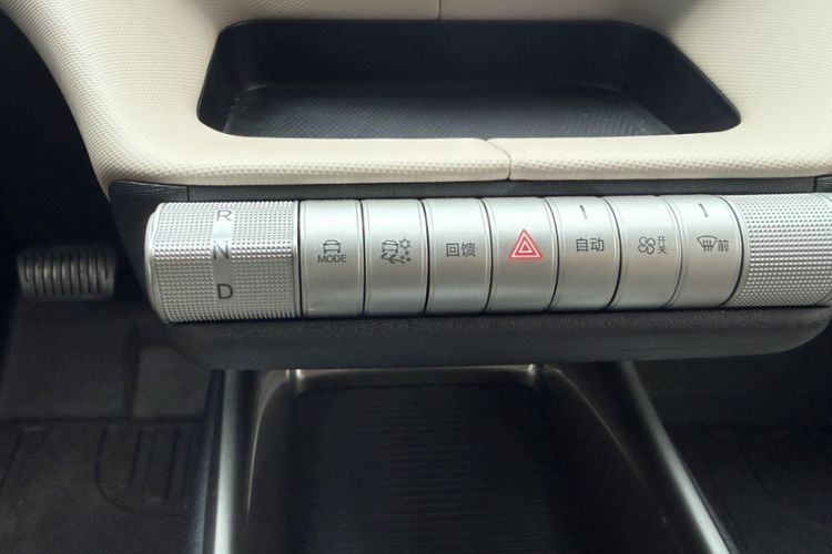 Used BYD Dolphin 2025 420km Free Edition Gear Lever