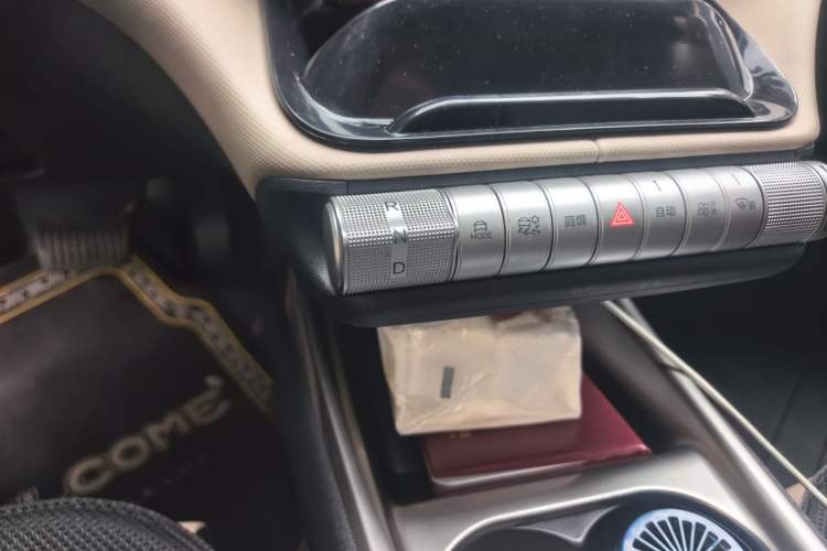 Used BYD Dolphin 2025 420km Free Edition Gear Lever