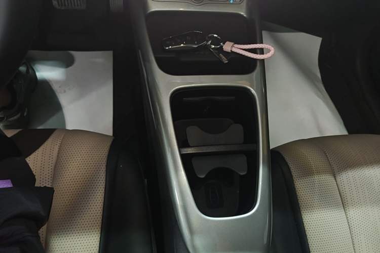 Used BYD Dolphin 2025 Intelligent Driving Version 410 km Fashion Edition Gear Lever