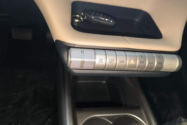 Used BYD Dolphin 2025 420km Free Edition Gear Lever