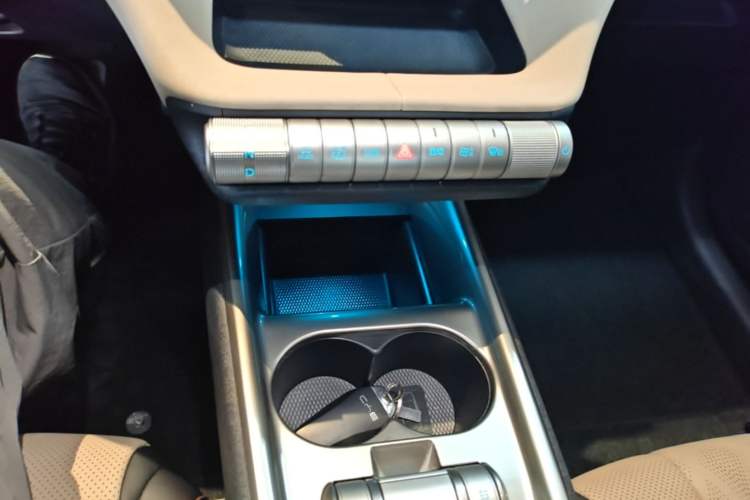 Used BYD Dolphin 2025 420km Free Edition Gear Lever