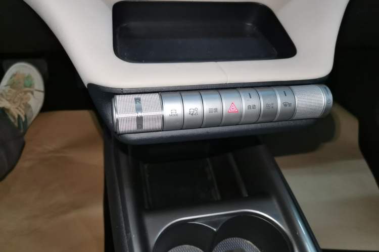 Used BYD Dolphin 2025 420km Free Edition Gear Lever