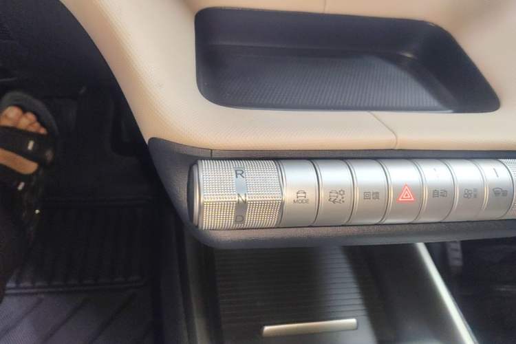 Used BYD Dolphin 2025 420km Free Edition Gear Lever