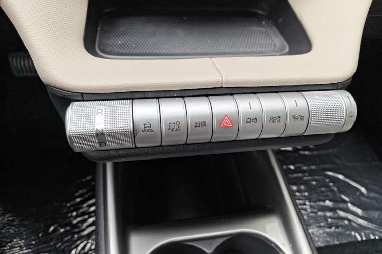 Used BYD Dolphin 2025 420km Free Edition Gear Lever